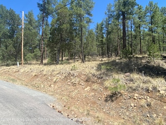 Tract 24 Deer Creek Rd Unit 2, Ruidoso, NM 88345
