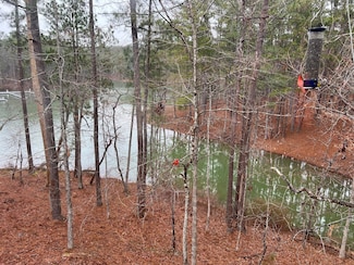 6-47 Superior Cove, McCormick, SC 29835