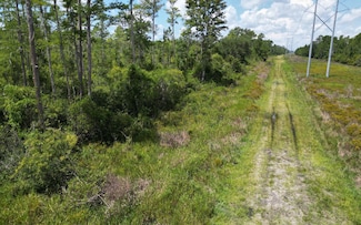 TBD Florida Power Esmnt, Perry, FL 32348