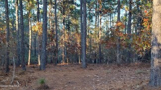 4 Brassie, Jackson Springs, NC 27281