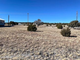 63 Alpine Ln, Concho, AZ 85924