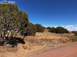 110 Hideaway Trail, Rockvale, CO 81244