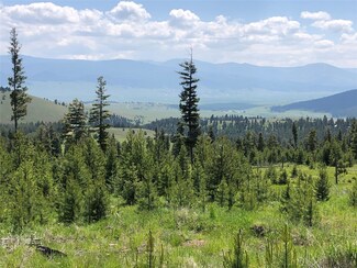 TBD Moose Springs, Philipsburg, MT 59858