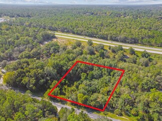 1670 E Amberjack Dr, Hernando, FL 34442