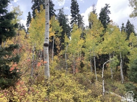 7 Pine Canyon Dr Unit N-7, Fairview, UT 84629