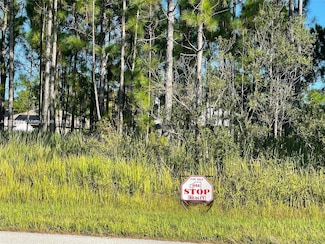 8030 Sun N Lakes, Sebring, FL 33872