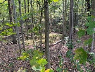 00 Oakview Terrace, Rome, NY 13440