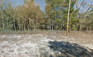 114 Sumac St, Interlachen, FL 32148