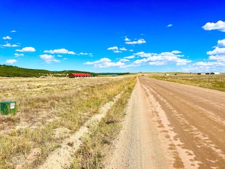 11 County Road 310, Westcliffe, CO 81252