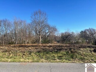 6354 State Route 1283, Water Valley, KY 42085