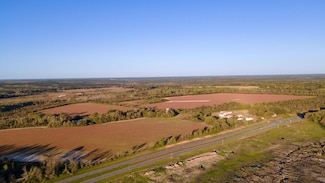 0 E Golden Isles Hwy, Lumber City, GA 31549