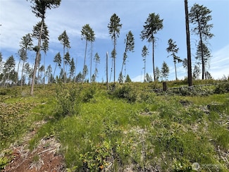 0 Lot 2 Rockabye Ln, Curlew, WA 99118