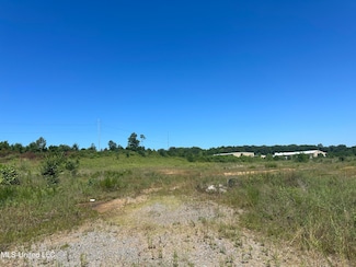 8700 Old Craft Rd, Olive Branch, MS 38654