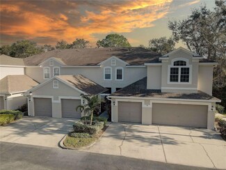 3663 Country Pointe Place, Palm Harbor, FL 34684