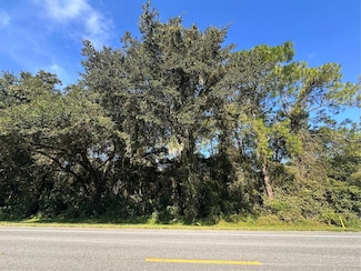 0 Treiman Blvd Unit MFRL4947431, Webster, FL 33597