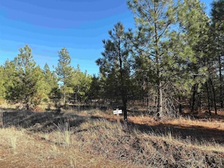 35470 Prairie Ln N Unit Lot 1, Creston, WA 99117