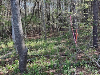 441 Baltimore Church Rd, Warrenton, NC 27589