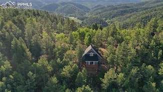 337 Blue Spruce Rd, Divide, CO 80814