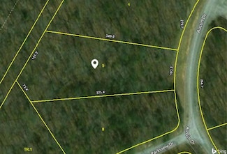 Lot 16 Austin Dr, Monterey, TN 38574