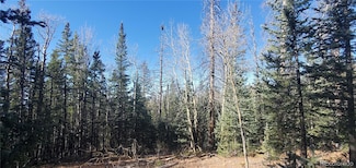 Lot 6581 Ackerman Rd Unit 6581, Fort Garland, CO 81133