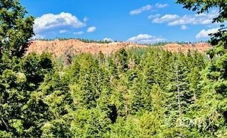 54 Sky Haven Mountain Retreat Unit 2, Duck Creek Village, UT 84762