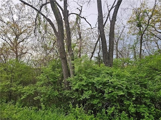 lot 32 Sunset Dr, van Buren Township, MO 64075