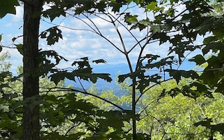 LOT 2 Laurel Ridge, Hiawassee, GA 30546