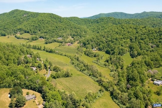1362 Fortunes Cove Ln, Lovingston, VA 22949