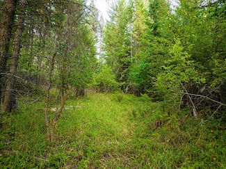 Nhn Black Lake Rd, Rexford, MT 59930
