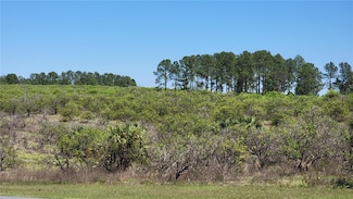 0 N Thrill Hill Rd, Eustis, FL 32736