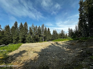 L21 B12 Jakolof Bay Rd, Seldovia, AK 99663