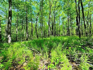 LOT 36 Paradise Rd, Todd Township, PA 16657
