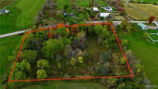 0 Sisson Hwy Unit B1646084, North Collins, NY 14111