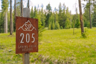 Lot 205 Outlook Trail, Big Sky, MT 59716