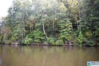 0 Leisure Ln Unit 4 796641, Wedowee, AL 36278