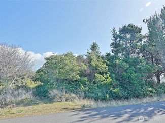 470 Sand Dune Ave SW, Ocean Shores, WA 98569