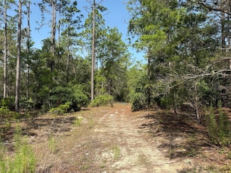 101 Washington Ave, Satsuma, FL 32189