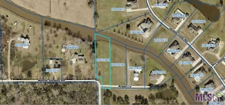 43306 Angel Ln, Gonzales, LA 70737