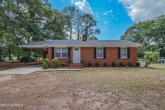 114 Lake Ave, Dudley, NC 28333