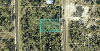2117 Mcarthur Ave, Alva, FL 33920