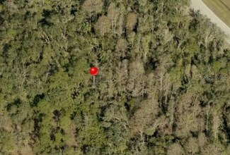 401 Indian Meadow Ct, Wimauma, FL 33598