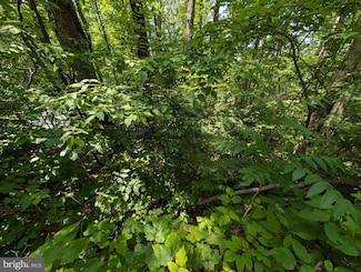 Lot 104 Summit Point Dr, Front Royal, VA 22630