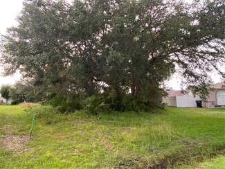 507 Magpie Ln, Kissimmee, FL 34759
