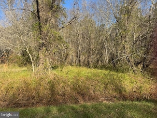 0 Mad Calf Ln Unit 321, Nanticoke, MD 21840