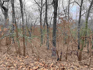 TBD Akicita Dr, Cherokee Village, AR 72529