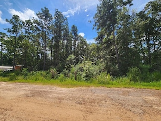 01 Hollybrook Dr, Plantersville, TX 77363