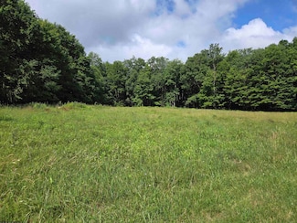 TBD Hazelwood Dr, Bruceton Mills, WV 26525