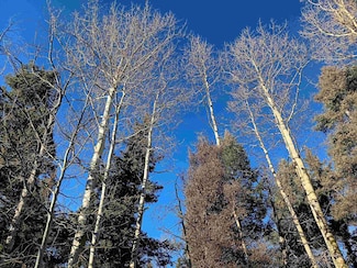 Lot 722 Santo Domingo Trail, Angel Fire, NM 87710