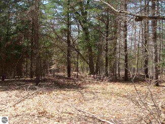 4830 Old M-63, Luther, MI 49656