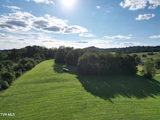 Tbd Reedy Creek Rd, Bristol, VA 24202